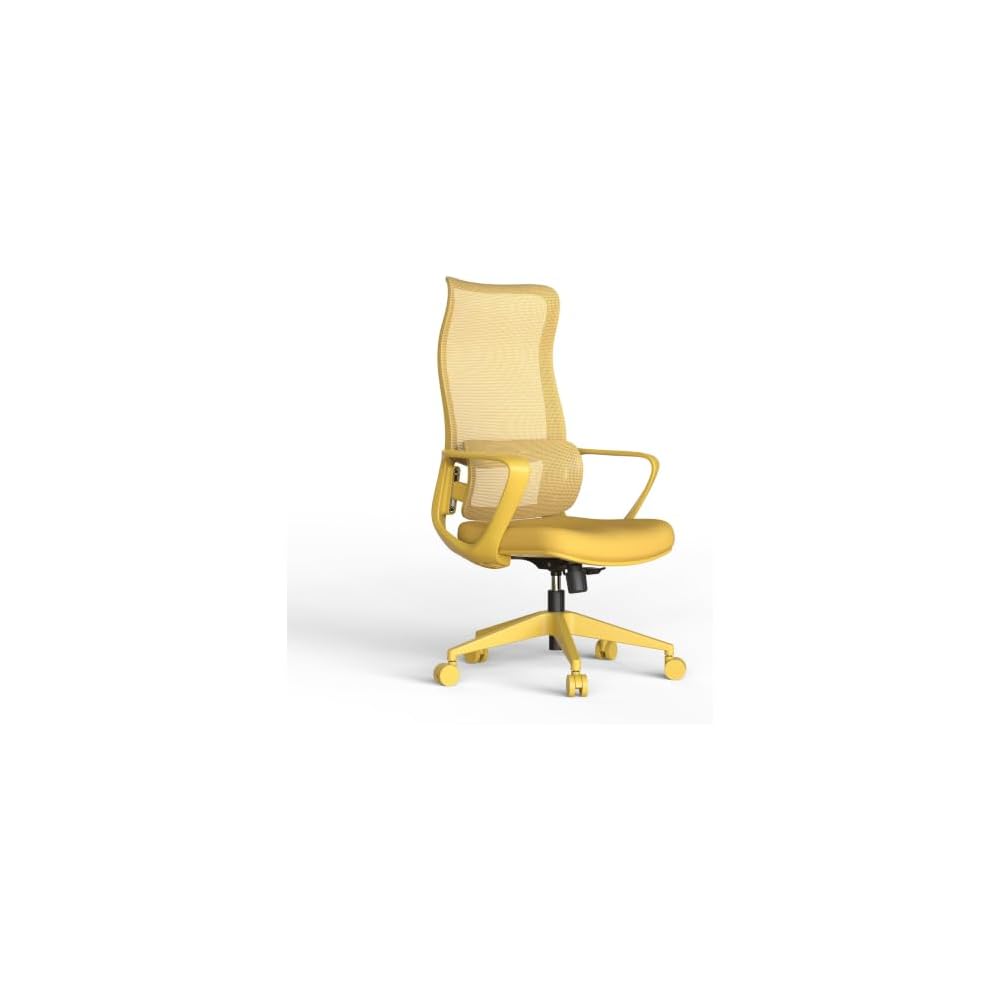 Ergonomic Office Chair, Mesh Back Desk Chair with Lumbar Support
