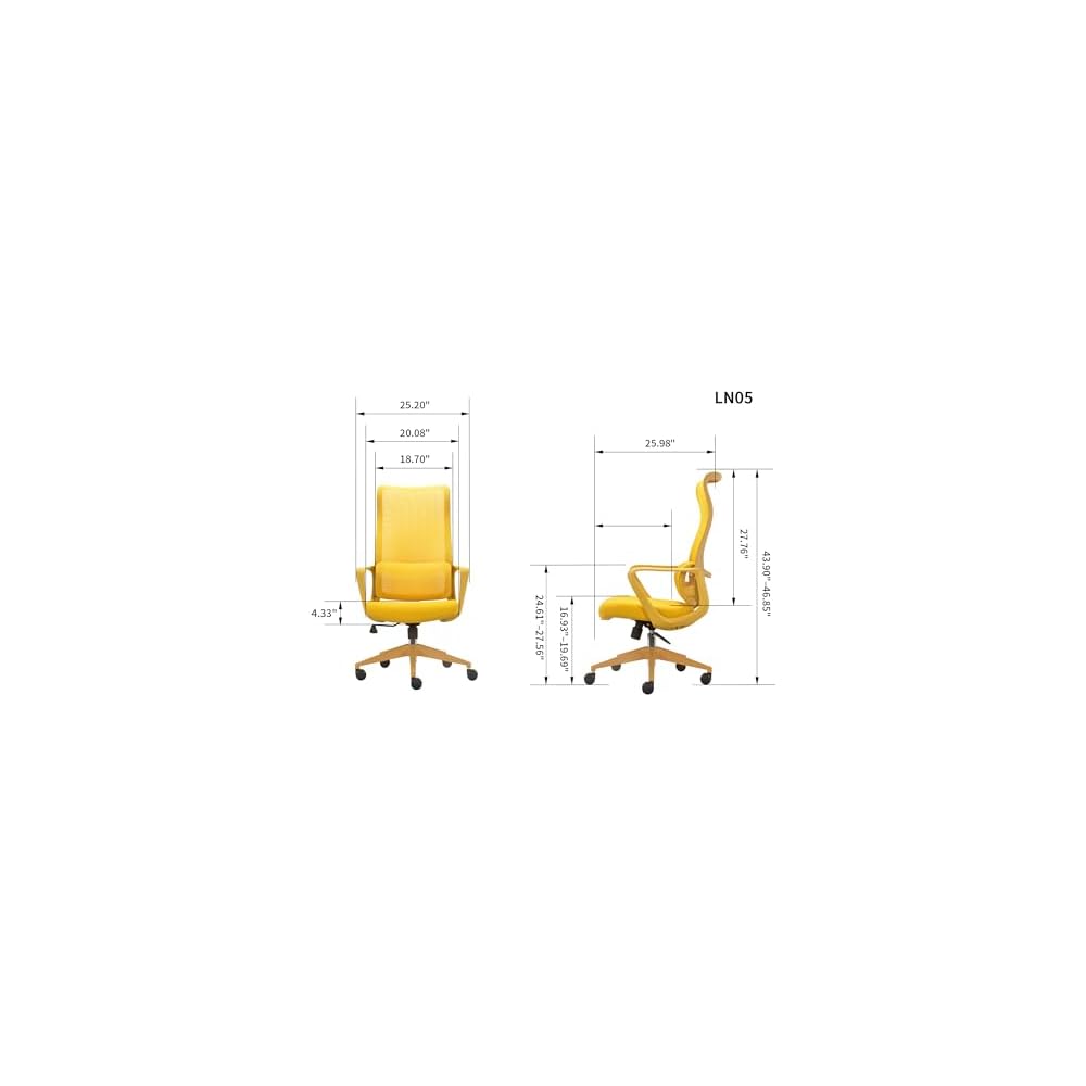 Ergonomic Office Chair, Mesh Back Desk Chair with Lumbar Support