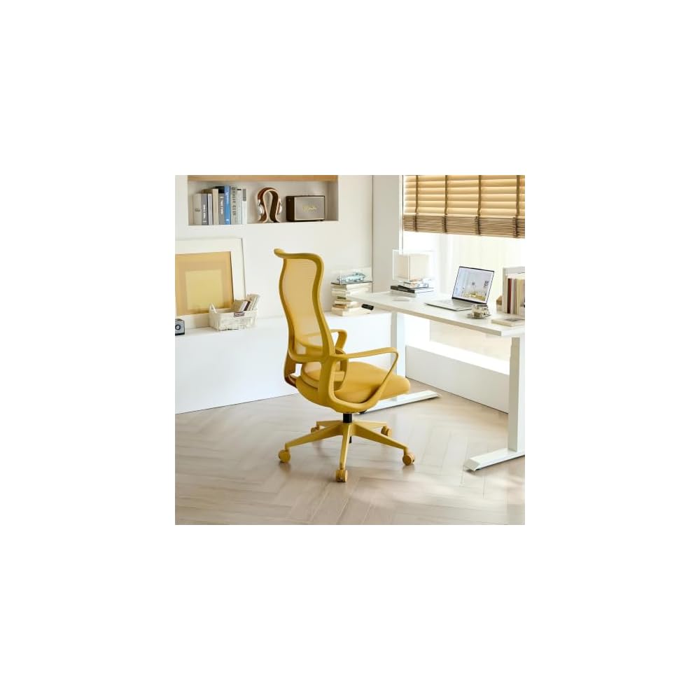Ergonomic Office Chair, Mesh Back Desk Chair with Lumbar Support