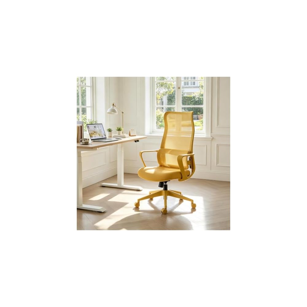 Ergonomic Office Chair, Mesh Back Desk Chair with Lumbar Support