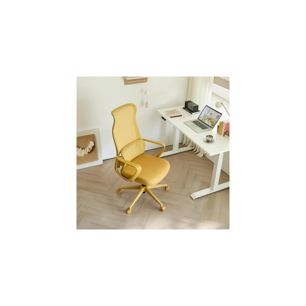 Ergonomic Office Chair, Mesh Back Desk Chair with Lumbar Support