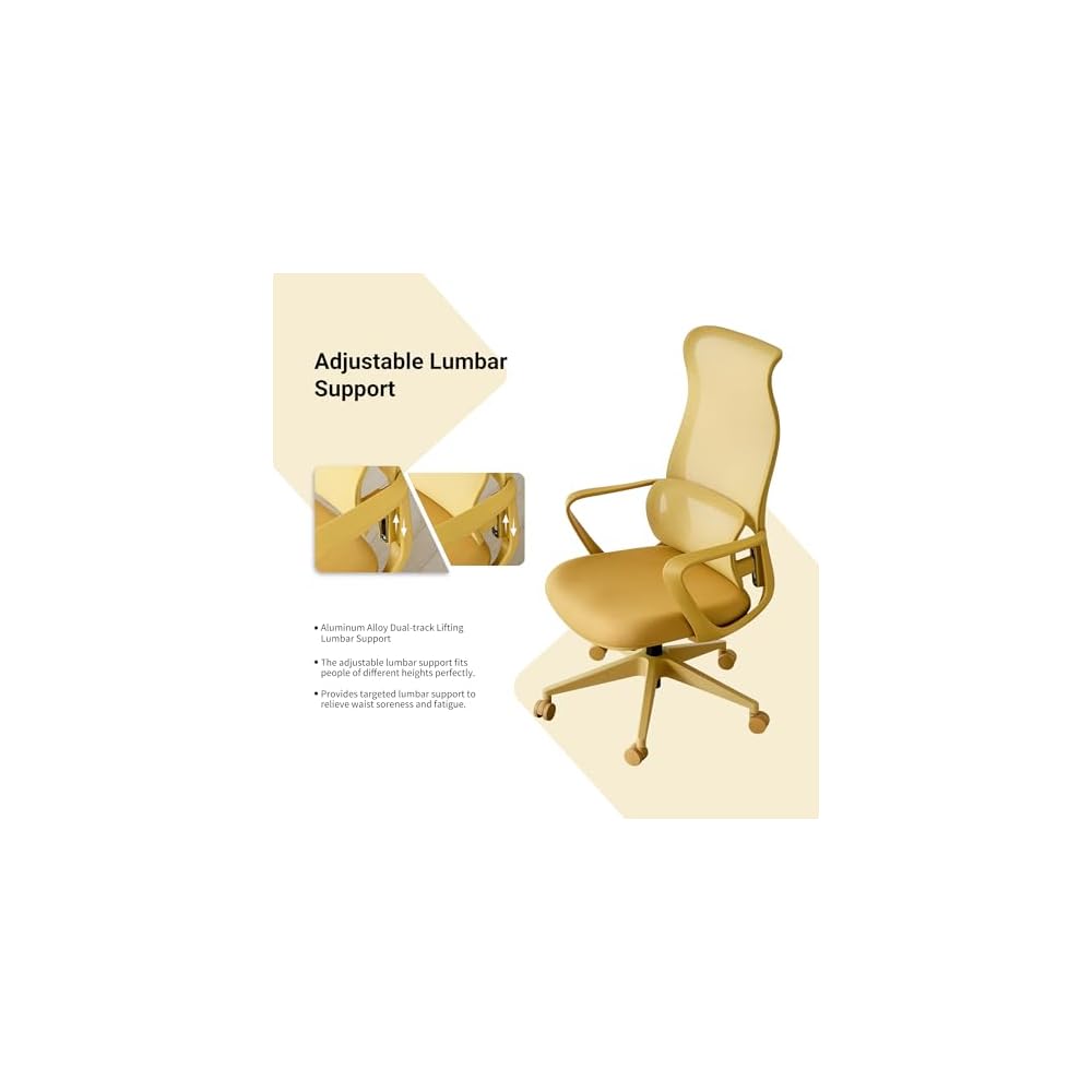 Ergonomic Office Chair, Mesh Back Desk Chair with Lumbar Support