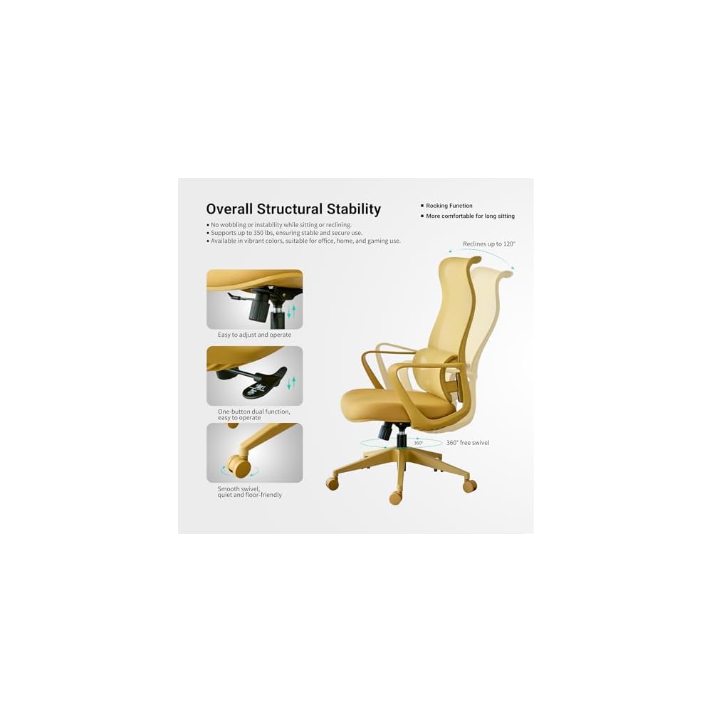 Ergonomic Office Chair, Mesh Back Desk Chair with Lumbar Support