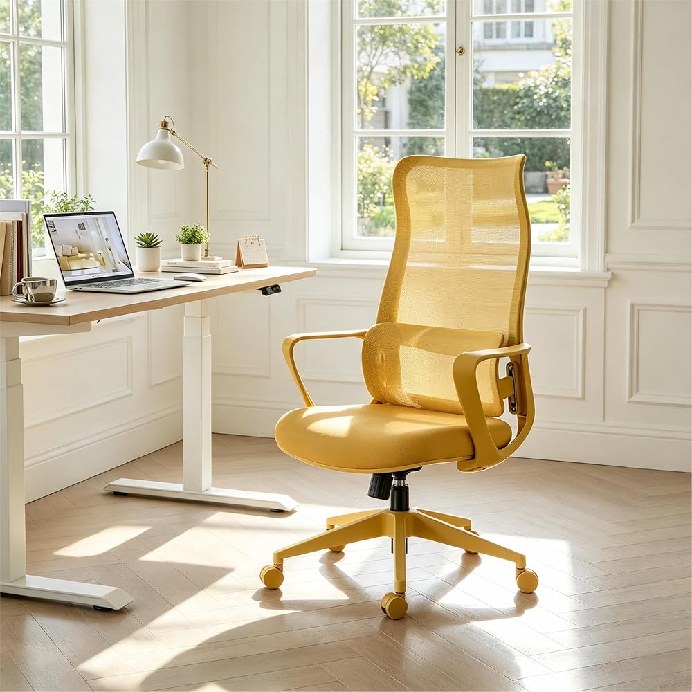 Ergonomic Office Chair, Mesh Back Desk Chair with Lumbar Support